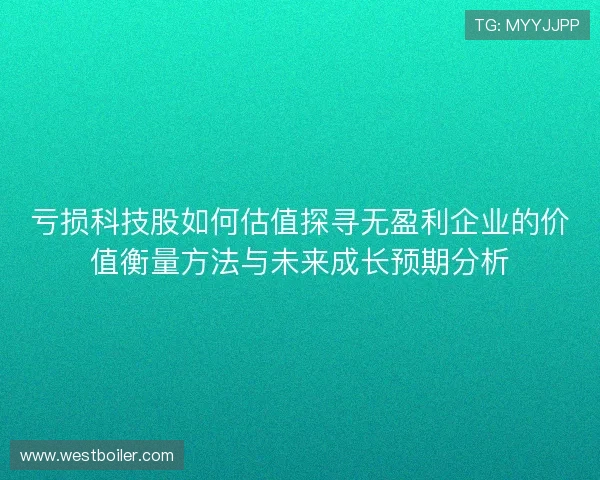 亏损科技股如何估值探寻无盈利企业的价值衡量方法与未来成长预期分析